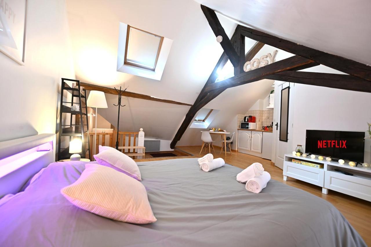 Апартаменти Le Cosy Du Tambour D'Argent Санс Екстер'єр фото